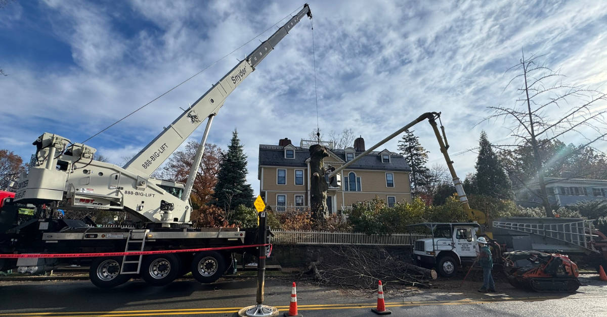 Crane Work