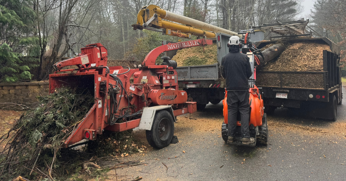 Wood Chipping