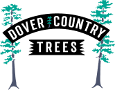 dover country trees - logo