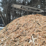 A tree suffering from volcano mulching with mulch piled high against the bark
